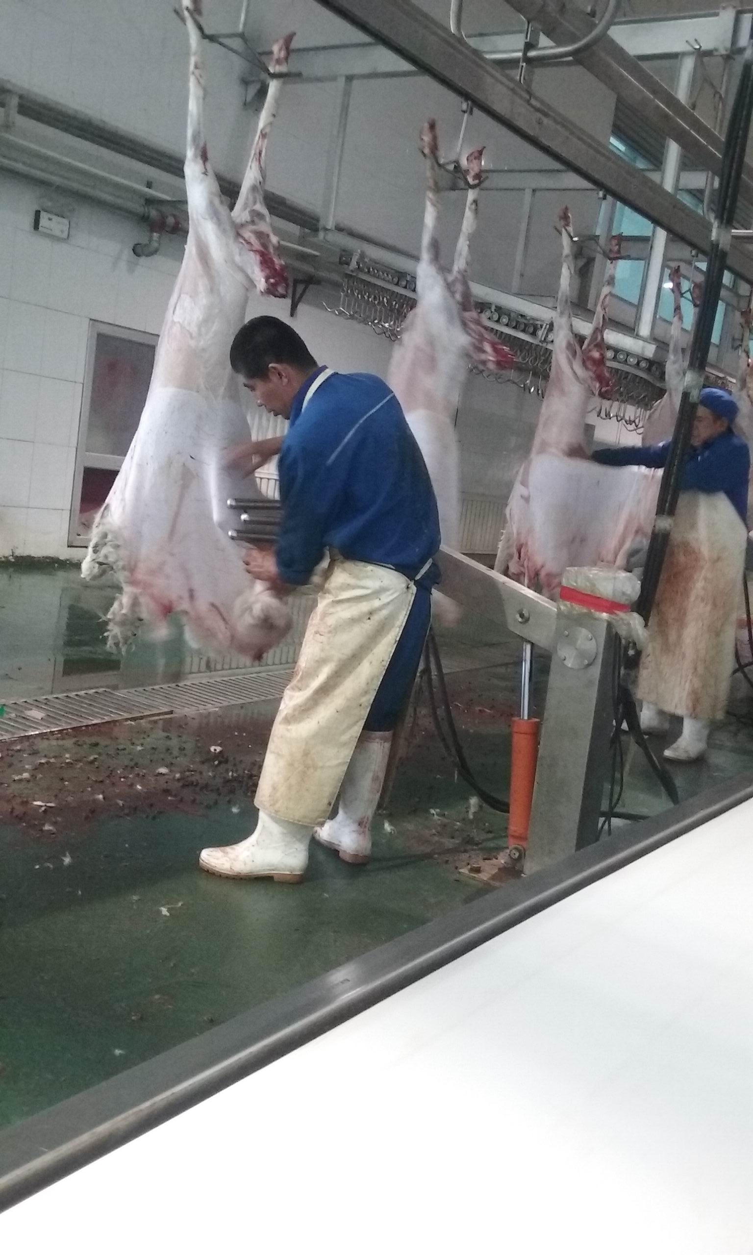 羊肉為什么要排酸？