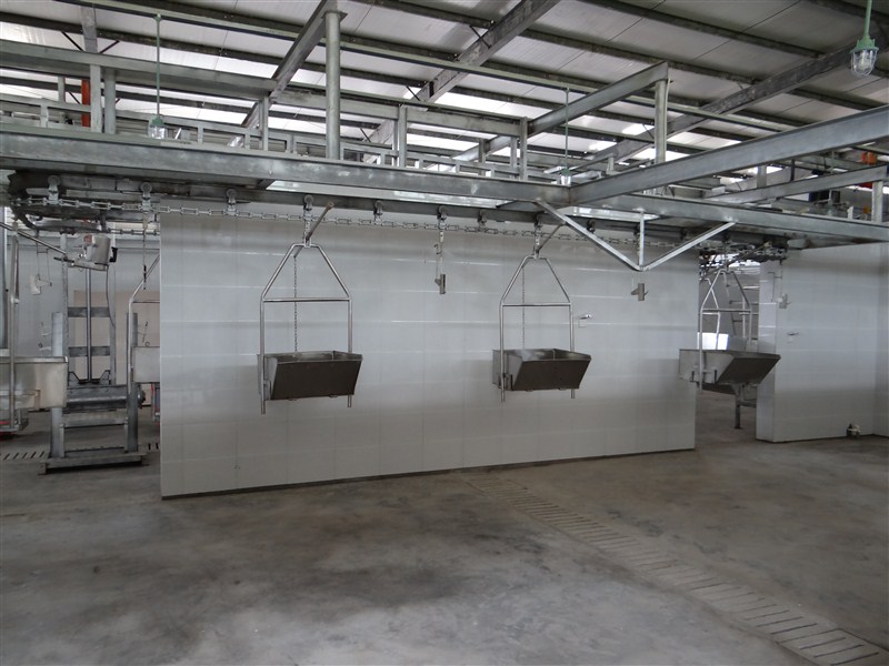 牛懸掛式同步衛(wèi)檢